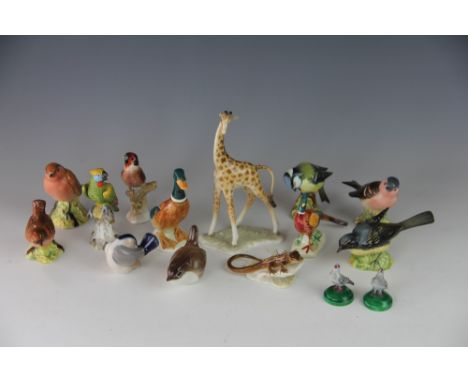 A selection of Beswick birds and Hutschenreuther animals to include a lizard and giraffe, along with other ceramic birds to i