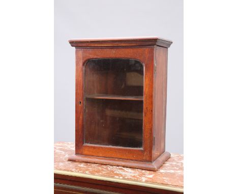 A SMALL MAHOGANY GLAZED CABINET, the moulded rectangular top above a single door with glazed arch panel opening to a shelf, o