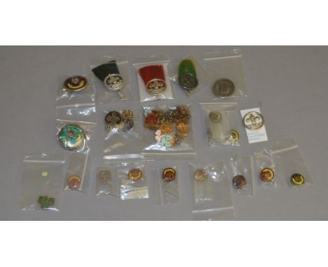 A collection of Boy Scouts and Girl Guides enamel and vintage badges. Includes hallmarked silver examples.