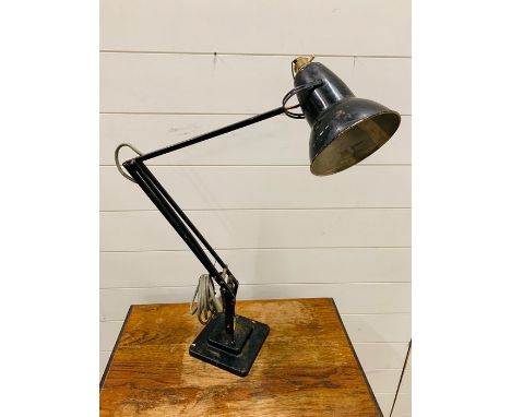 A Black Anglepoise lamp by Herbet Terry &amp; Sons Ltd