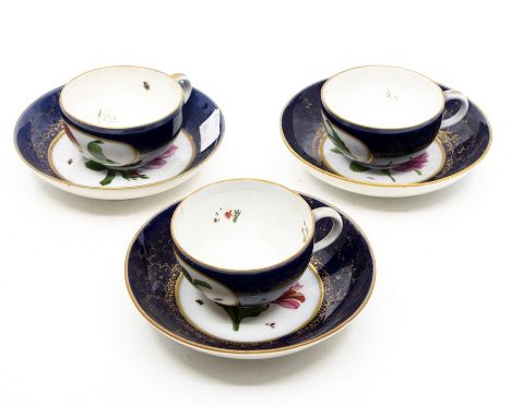 Three Meissen style botanical cups and saucers, interior painted with flowers and insects