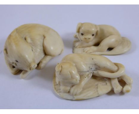 2 JAPANESE MEIJI PERIOD IVORY NETSUKE MODELLED AS RECUMBENT DOGS AND ONE OTHER MODELLED AS A WILD BOAR