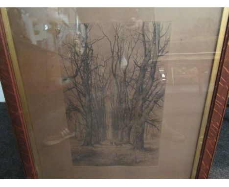 An early 20th Century framed and glazed etching of deer in trees, 64cm x 46cm