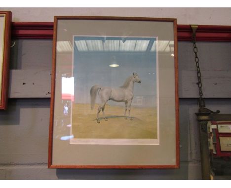 After John Alexander Harington Bird A.R.C.A: A pencil signed print depicting a white Arab stallion, Fine Art Trade Guild stam