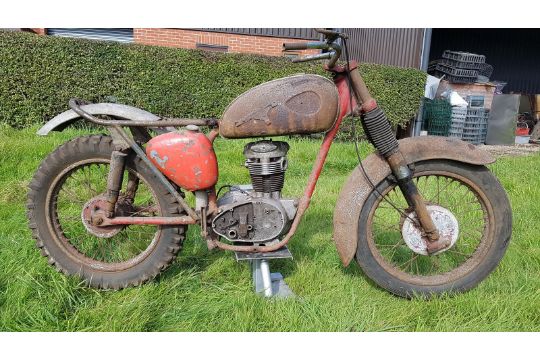 bsa c15 scrambler