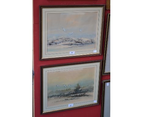 P R Sith 20th Century
a pair, Seagulls and Mallards, signed, watercolours, 26cm x 36cm , framed (2)