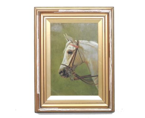 English school, early 20th century, a horse head in profile, signed with initials E. R. and dated 08, oil, 46 x 30cm