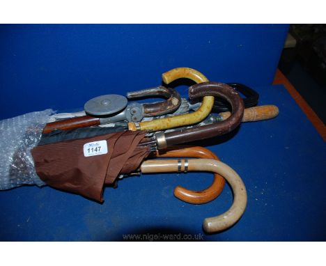 A quantity of Umbrellas including shooting stick, leather handled, etc.
