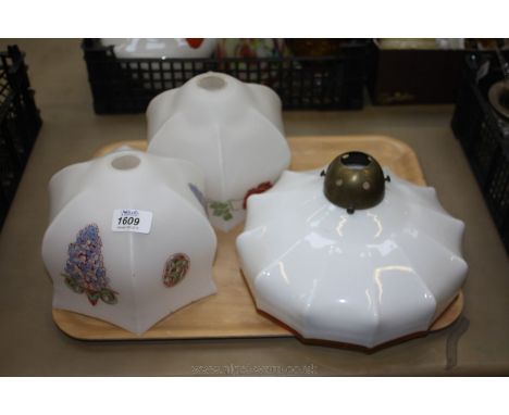 Three Light Shades, one being French and the other two with floral decoration