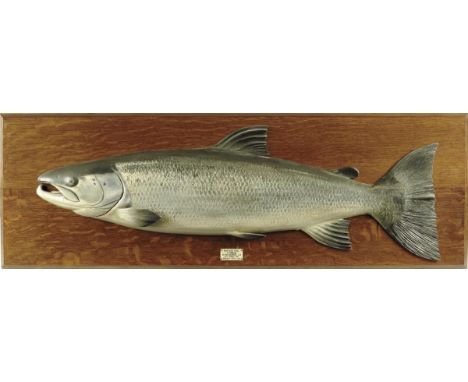 A carved wood and painted half block salmon, with an ivorine plaque inscribed 'HEATHER POOL, R. KIRKAIG, SUTHERLANDSHIRE, N.B