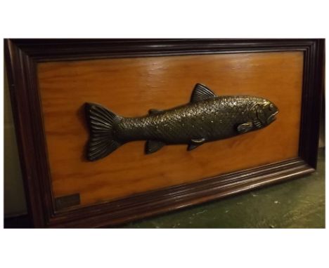 Stained pine framed and backed bronze model of a fish, bearing plaque "Trucha", 32ins x 16 1/2 ins 