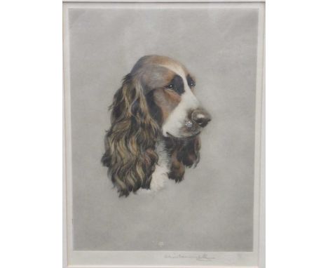 Maud Earl a group of four signed photogravures of dogs, to include a highland terrier, two of Pekingese and one of terriers, 