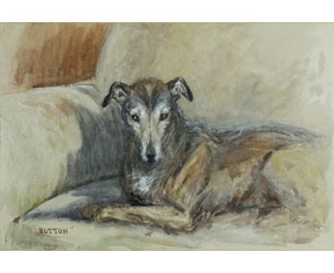 * Tom Carr (20th Century British) - Watercolour - 'Button', portrait of a lurcher, 26cm x 39cm, signed and dated 1969, in gil