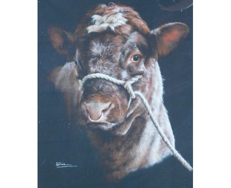 A Donaldson (20thC School). Goliath, limited edition print of a short horn bull, No 155/500, signed and titled, 52cm x 36cm, 