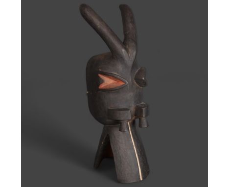 An African tribal carved wood zoomorphic Baule helmet mask, in the form of a hippopotamus, height 50cm. 