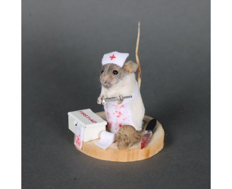 Taxidermy: “Nurse” Mouse.An anthropomorphic full mount taxidermy grey and white mouse, mounted upright on a slice of wood. We