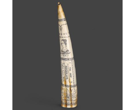 Natural History : Scrimshaw Walrus Tusk Replica.A good quality resin replica large walrus tusk with engravings. 