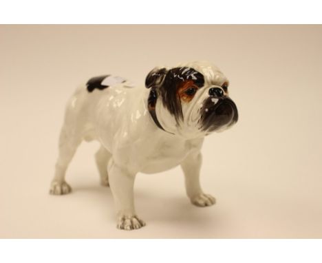 A Royal Doulton standing bulldog figure, light colour with brown patches, with collar, mark to underside