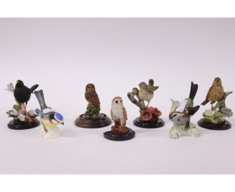 Two Goebel birds, Blue Tit & Finch, together with five country artist birds, Owl, Wren, Thrush, Blackbird (7)