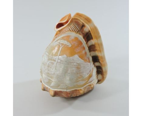 A cameo shell lamp shade, 16cm high