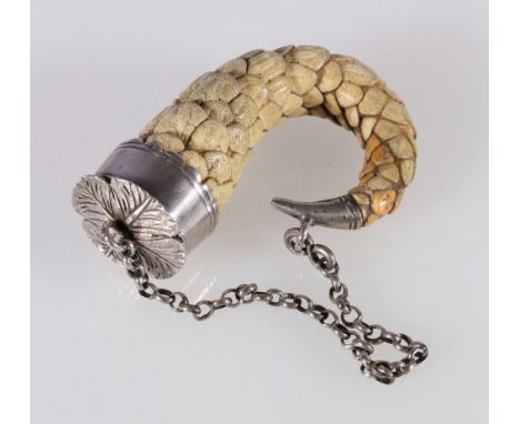 19th century reptile tail snuff box with white metal mounts, 7cm long. 
