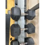 30kg Dumbells x2