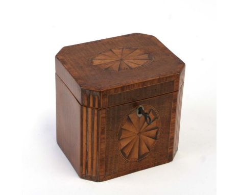A Georgian single tea caddy in satinwood, with canted corners inlaid as columns and ornate inlay to the front and top, 12cms 