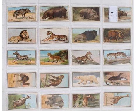 Cigarette cards - R &amp; J Hill Ltd 1909. Animal Series (Crowfoot back). Complete set of 20.