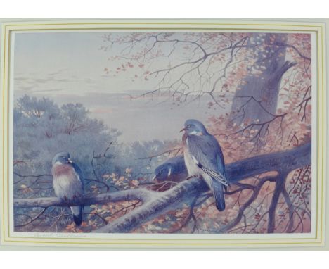 After Archibald Thorburn, a coloured print of birds, framed and signed in pencil, overall size 36 x 46cm 