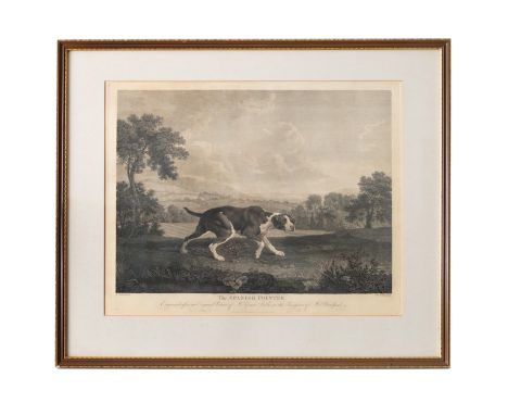 William Woollett (1735-1785), After George Stubbs (1724-1804), 'THE SPANISH POINTER', Engraved 'After an Original Picture of 