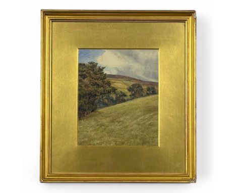 A good late Victorian or Edwardian watercolour of a landscape of moors (Dartmoor? Yorkshire Dales?) or rolling hills and a fo