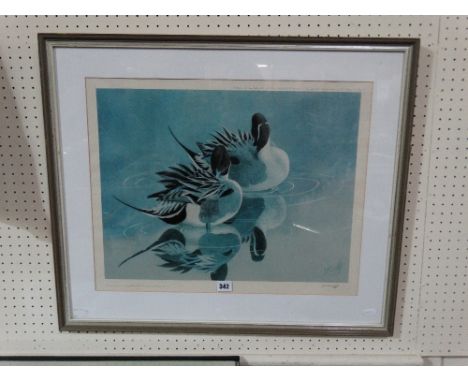 A Limited Edition Coloured Print Of Pin Tail Duck By C F Tunnicliffe Signed In Pencil