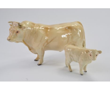 Beswick Charolais Bull 5" Figure in Gloss (E-NM) plus Charolais Calf 3" Figure in Gloss (NM-M). (2)