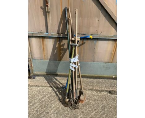 Quantity of Garden Tools 