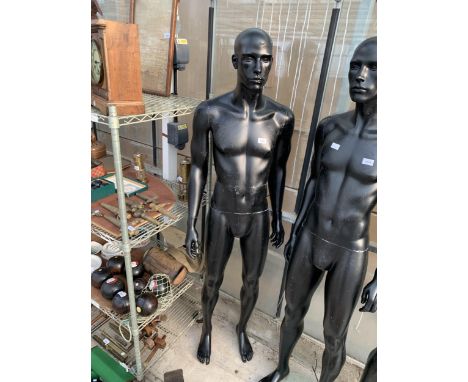 AN ADULT MALE SHOP MANNEQUIN