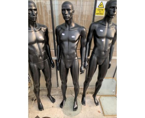 AN ADULT MALE SHOP MANNEQUIN