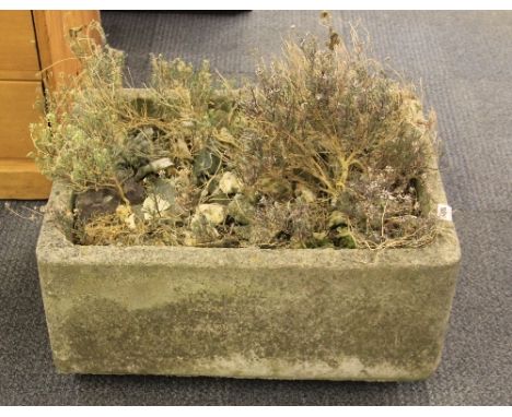 An old concrete garden planter, 60cm x 46cm x 25cm