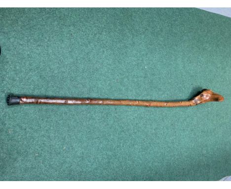 A BIRD'S HEAD (KNOBBLER) KNOB HANDLED WALKING STICK 