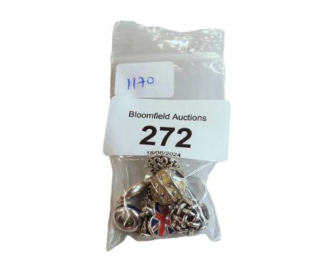 5 X GENUINE SILVER PANDORA CHARMS - SOME ENAMEL 