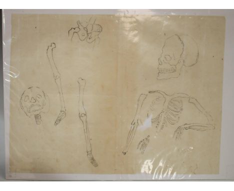 Macabre, Memento Mori - Japanese School (Edo/Meiji period) Anatomical study, of a skeleton in various forms of animation, pen