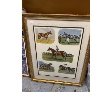A LIMITED EDITION 563/750, PENCIL SIGNED BY LESTER PIGGOTT, PRINT 'THE FIVE GREATEST I EVER RODE', 77CM X 95CM 