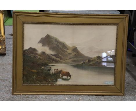 A FRAMED PRINT OF CATTLE, A LAKE AND MOUNTAINS IN A GILT FRAME, 64CM X 46CM 