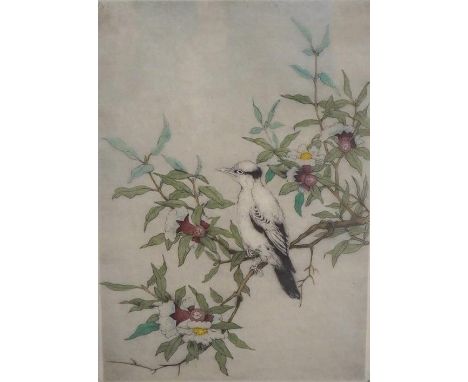 Elyse Ashe Lord (1900-1971), colour drypoint etching, A magpie, signed in ink, limited edition 49/75, 34 x 24cm. Condition - 