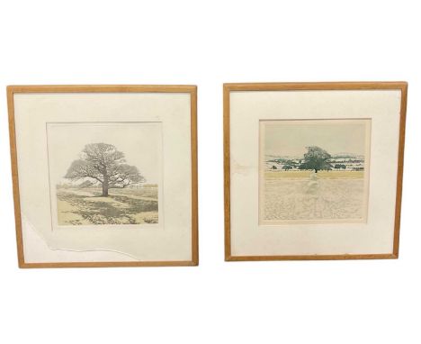 † PHIL GREENWOOD; a signed limited edition print, 'Dark Oak', signed and dated 81 lower right and numbered 120/250 in pencil 