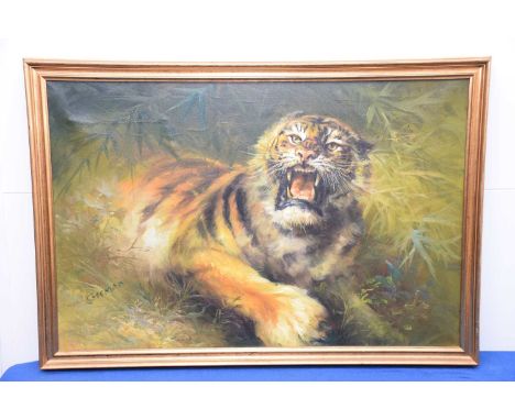 A large oil on canvas of an Angry Tiger, signed Cuffman, in gilt frame, 69cm by 99cm, thank you for looking at this lot which