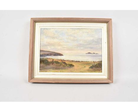 J. Haddon - 20th century, oil on board, Coastal Scene, signed, thank you for looking at this lot which is being sold on behal