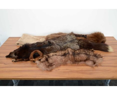 A Vintage Argentinian fur stole probably alpaca, in blonde with a silk lining by El Peletero Ingles Corboba Bs Aires, togethe
