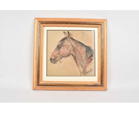 Margot Claremont - 20th century, charcoal and pastel of a horse on paper, titled to rear, Bay Rhum, signed, thank you for loo