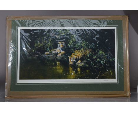 David Shepard, Tiger Having Print, pencil signed to border, 102 of 1,000. 47cm x 90cm, thank you for looking at this lot whic
