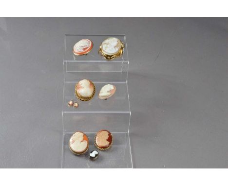 A selection of shell and other cameo broaches, along with one pair of cameo earrings, thank you for looking at this lot which